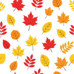 Obraz premium Vibrant Autumn Leaves Pattern with Red Yellow and Orange Hues Seamlessly Arranged Against a Crisp White Background Showcasing Seasonal Fall Foliage