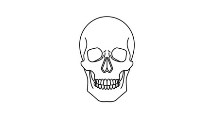 Obraz premium Minimalist Skull Illustration Anatomical Line Art Depicting Human Cranium for Halloween and Medical Designs