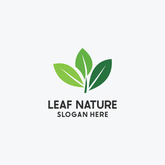 green leaf abstract beauty logo