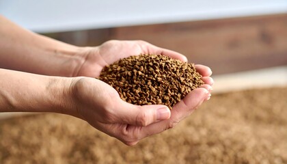 Hands holding a pile of granular material