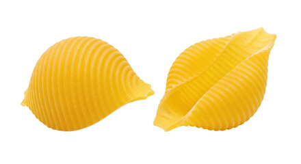 Isolated pasta shell