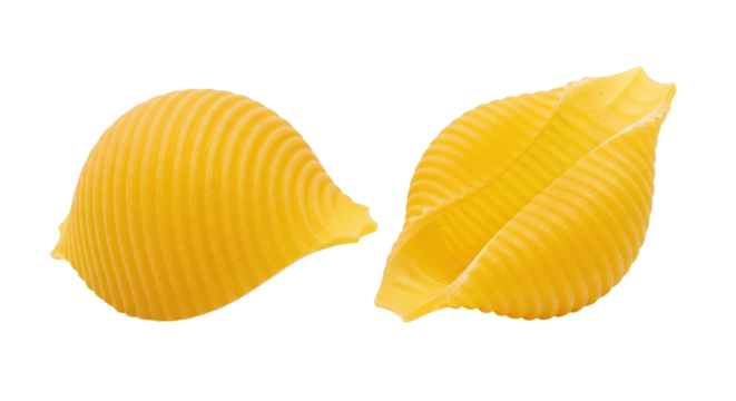 Isolated pasta shell