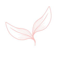 vector illustration of a feather