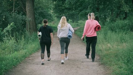 Three middle-aged women go to the park to do fitness. Rear view.