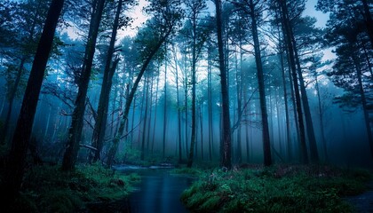 Naklejka premium forest in the night