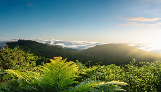 embracing change while letting go of perfectionism through naturers beauty