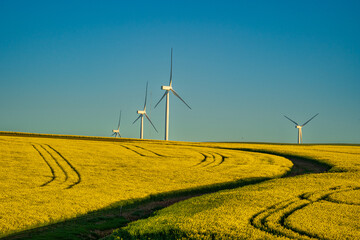A breathtaking view of the Overberg region in South Africa’s Western Cape, where rolling fields of green and gold stretch toward the Langeberg mountains. These landscape offers expansive copy space
