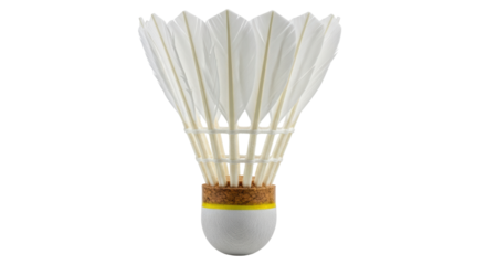 Isolated Badminton Shuttlecock
