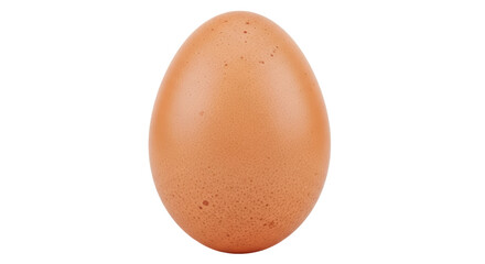Isolated Brown Egg