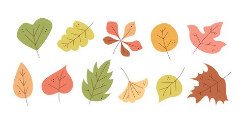 Set of autumn leaves. Color clipart for your projects.
