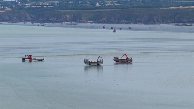 Aerial view of farmers harvesting mussels and oysters at low tide