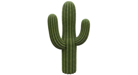 Isolated Green Cactus Plant