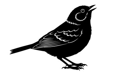 Isolated Silhouette of a Bird