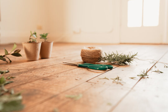 Messy timber floor after plant propagation with twine, scissors and plant cuttings