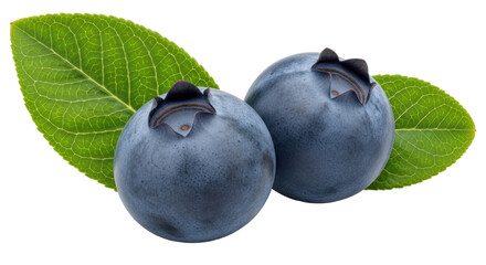 Isolated Two Blueberries with Leaves
