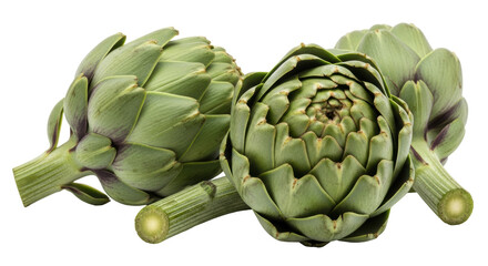 Fototapeta premium Isolated Artichokes