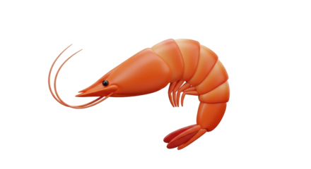 Isolated Orange Shrimp
