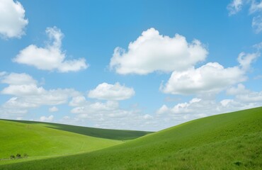 Fototapeta premium green field and blue sky with clouds