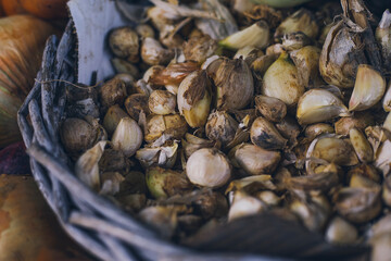 A woven basket overflows with garlic cloves, showcasing their natural, earthy tones. The cloves appear freshly harvested, with their papery skins adding texture and depth to the scene. 