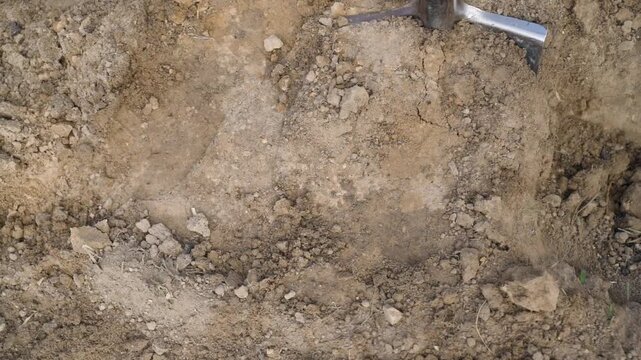 Using a shovel to dig a hole in a vegetable garden, top view, slow motion