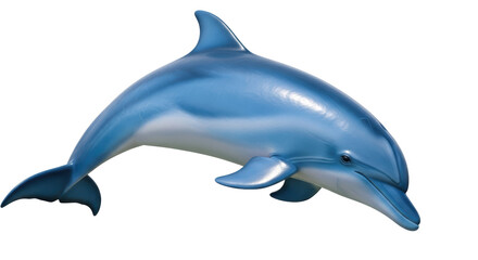 Isolated Dolphin