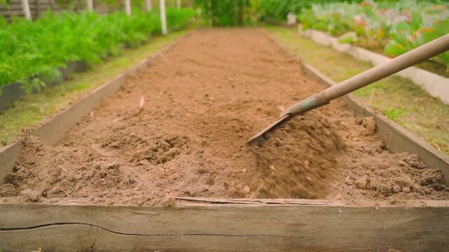 The soil of a vegetable garden bed is being leveled with a rake in slow motion