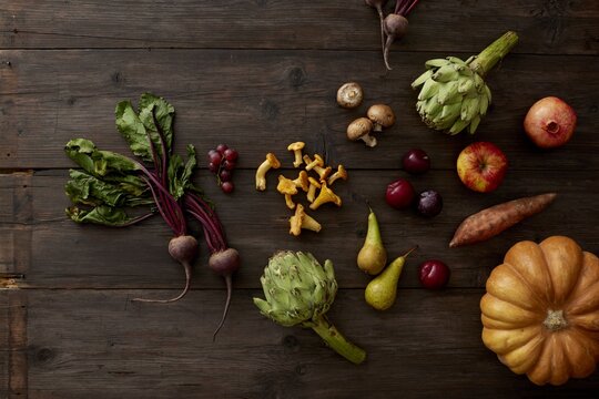 Autumn harvest still life of fresh produce on dark wooden tabletop
