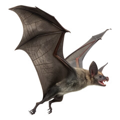 A bat with open mouth and spread wings flying, isolated on transparent background