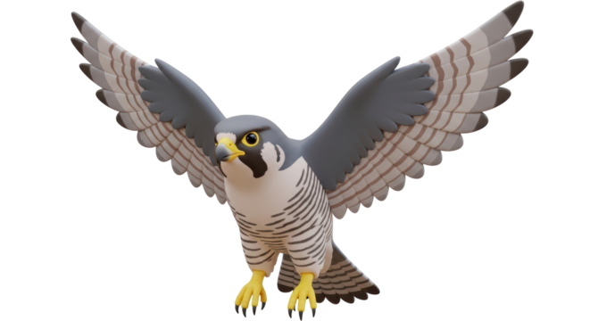 Isolated Falcon