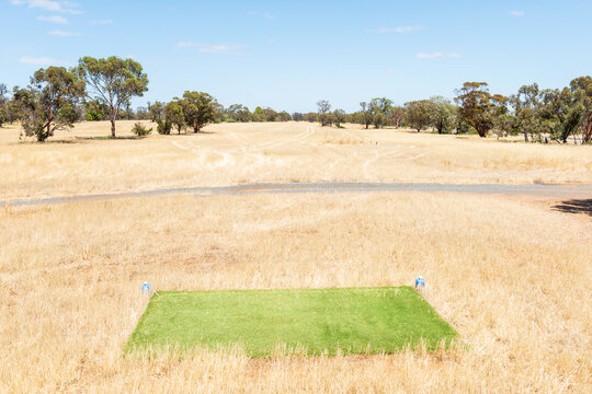 Artificial grass for a golf tee box on a dry course