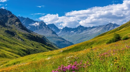 Fototapeta premium Vibrant alpine landscape with colorful wildflowers in the foreground and majestic mountains in the background