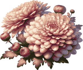 Chrysanthemum Flower Bundle 