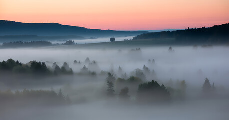Obraz premium A valley of misty fog blankets a forest at dawn, with a vibrant sky above.