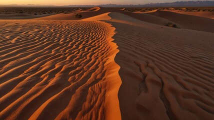 sand dunes in death valley