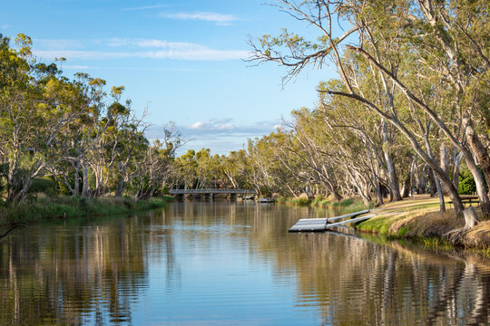 Riverbank with gum trees and pontoon