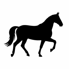 Fototapeta premium Silhouette of a majestic horse in motion
