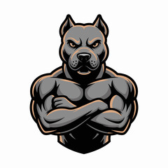 Muscular pitbull dog mascot with crossed arms