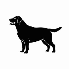 Silhouette of a black labrador retriever dog standing alert