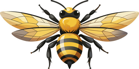 Picture of a bee that produces nectar into honey which is beneficial for humans, an amazing natural architect when creating its nest.