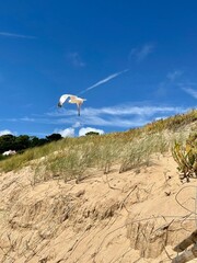 Seagull in mid-flight against a clear, deep blue sky. Bright and vivid coastal scene. Summer season