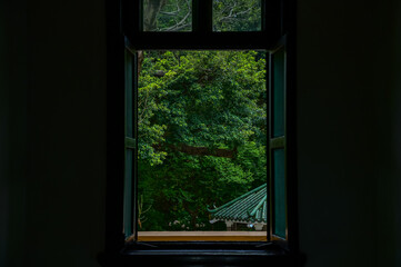 View from window with tree scene. Garden through the window. Window overlooking the trees. Nature scene. Nature, tree background.