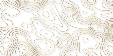paper cut 3d render topography abstract, beautiful white Background. geometric map relief texture with curved layers and shadow. Realistic papercut decoration textured with wavy vector design.