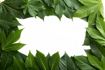 Fresh Green Leaves Frame Eco-Friendly Design. A natural wreath of vibrant green leaves provides a blank canvas for creative text or design elements