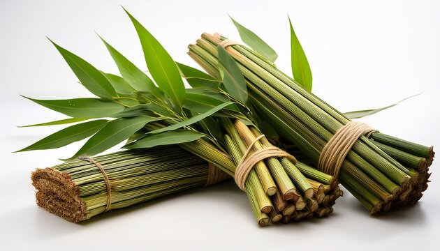a photograph of a bundle of lush vibrant kenaf stalks and leaves isolated against a clean white background for a natural botanical aesthetic