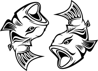 black and white shark