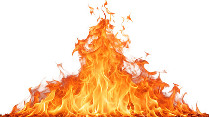 isolated on white background