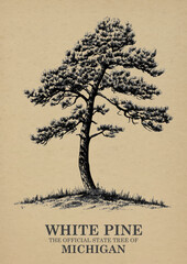 Michigan State Tree White pine Wall art Poster, Illustration For Wall Hanging Home Decoration Vintage Wall Art, Us State Poster