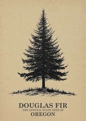Oregon State Tree Douglas fir Wall art Poster, Illustration For Wall Hanging Home Decoration Vintage Wall Art, Us State Poster