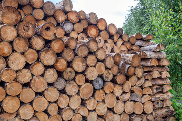 Pile of logs stacked on top of each other