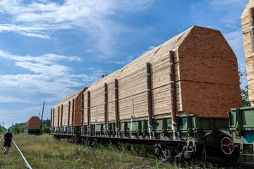 Obraz premium Train is carrying a large amount of wood